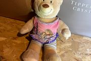 Hannah montanna teddy