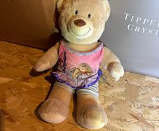 Hannah montanna teddy