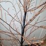 Pre lit Lumineo tree 150 cm Image 10