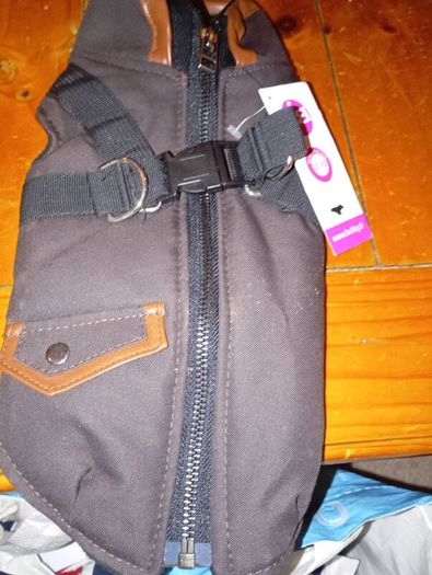 dog coat
