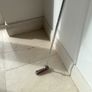 putter Image 2