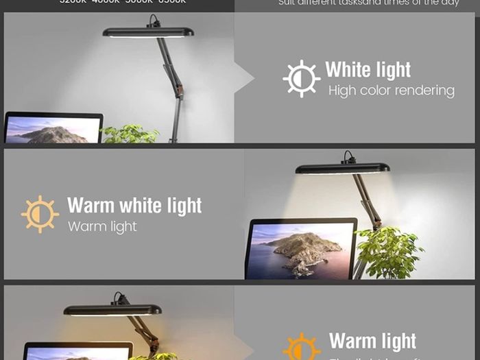 LED Desk Lamp Clamp - Swing Arm Desk Lamps for Study - Eye-Caring LED Desk Light - 3 Light Modes x 10 Brightness Levels - 12W - Rose Gold Black (FREE POSTAGE)