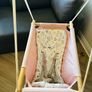 Adamo Baby Hammock Relax Image 4