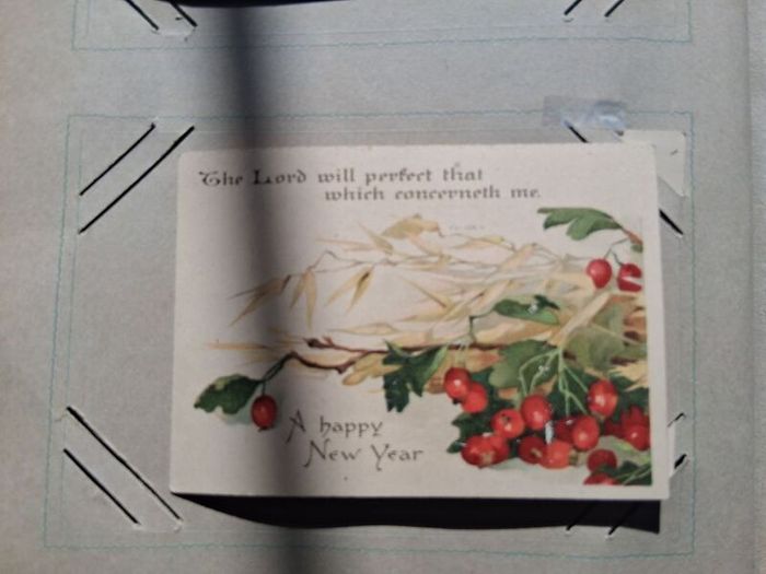 Mega Art Nouveau Postcard Album (197 Pieces)