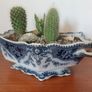 Fabulous Antique Tureen with Cacti Garden - A Fabulous Unique and Decorative Item for Display Indoors Image 9
