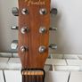 Fender M1 model Image 3