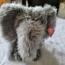 Aurora World Fluffy Elephant Brand New Plush Soft Toy Teddy Bear He is So Fluffy Image 2