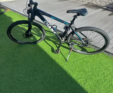 Giant Bicycle