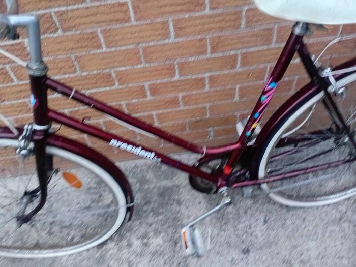 adults bike