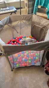 Kids play pen with balls