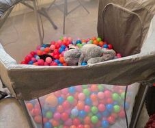 Kids play pen with balls