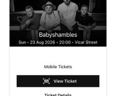 Babyshambles