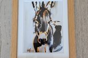 Framed Donkey - ink/watercolour painting by Jennifer FitzGerald