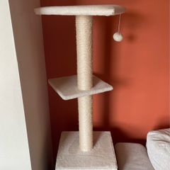 Kitten scratching post/cat tree
