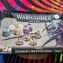 Warhammer 40k Termagants and Paint Set Image 2