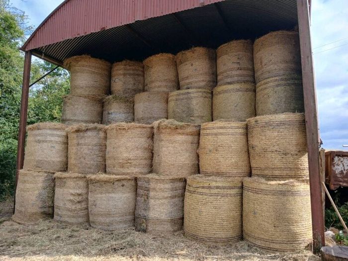 Hay Bales