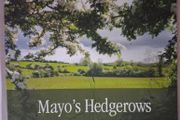 Mayo's Hedgerows / 2012