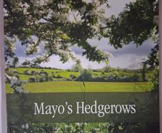 Mayo's Hedgerows / 2012