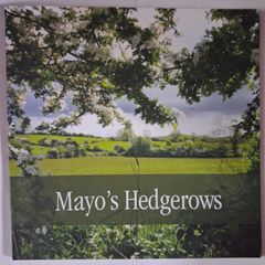 Mayo's Hedgerows / 2012