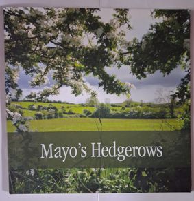 Mayo's Hedgerows / 2012