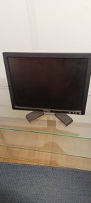 Dell Monitor 14