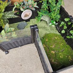 Tortoise Enclosure