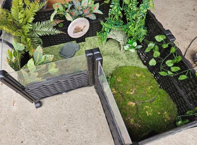 Tortoise Enclosure