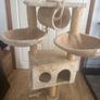 cat tree Image 3