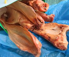 Large Bone and Pigs Ears