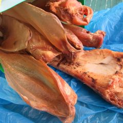 Large Bone and Pigs Ears