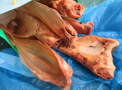 Large Bone and Pigs Ears