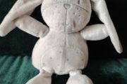 Grey Bunny