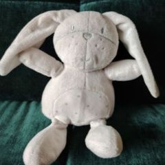 Grey Bunny