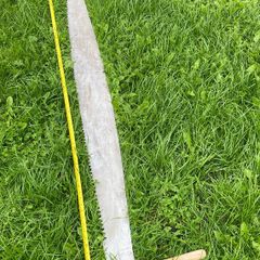 Vintage 2-Man Saw - huge!