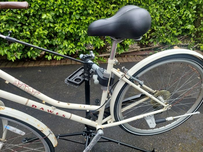 Ladies Bicycle