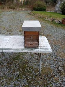 B.National cedar 6 frame nuc