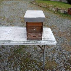 B.National cedar 6 frame nuc