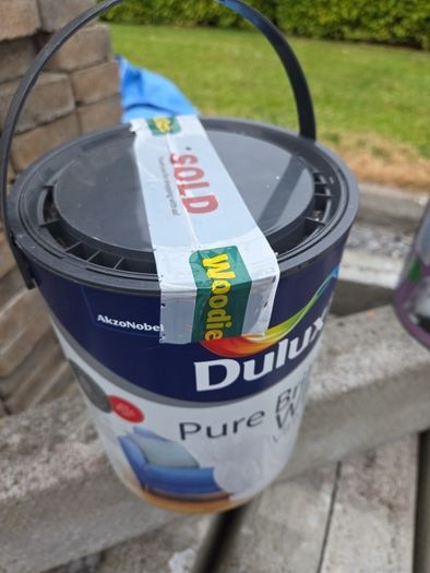 Paint