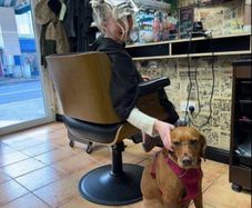 hairdressing chair rent
