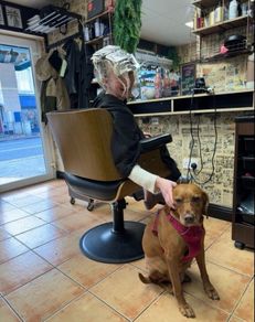 hairdressing chair rent