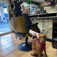 hairdressing chair rent