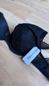 BNWT Darjeeling bra 32D