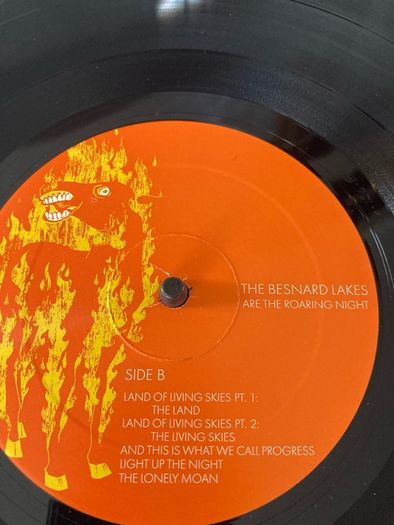 The Besnard Lakes - The Besnard Lakes Are The Roaring Night