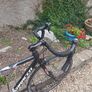 Road Bike Image 4