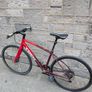 Trek FX3 Image 2