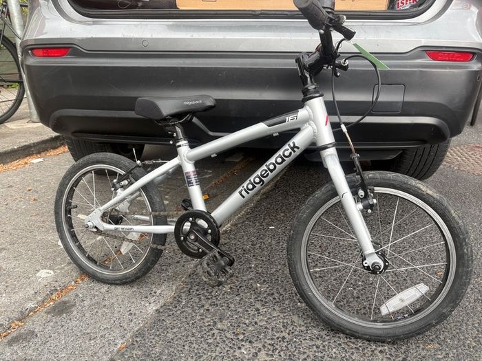 ridgeback dimension 16"