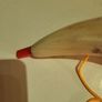 Ox horn Image 2