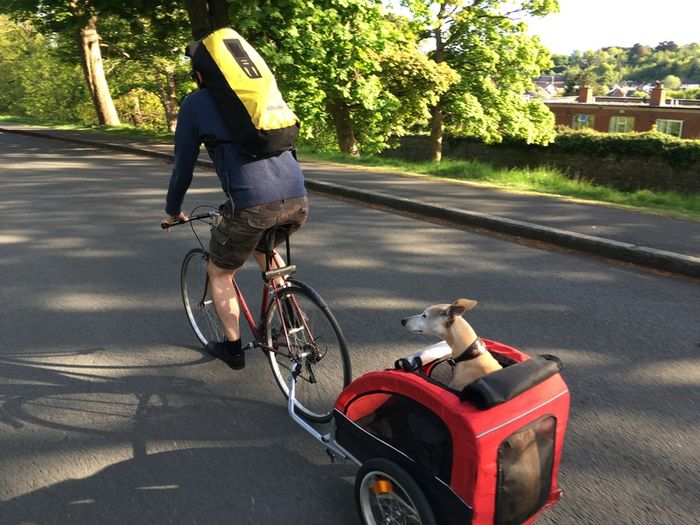 Dog carrier trailer for bike