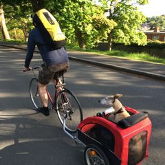 Dog carrier trailer for bike