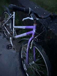 Free Purple bike old for small adult/teen